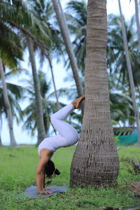Inversions by the palm trees